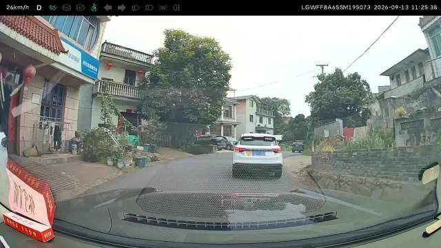 新手上路不要慌，视频车想躲也来不及了