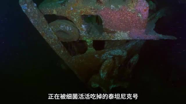 正在被细菌活活吃掉的泰坦尼克号！2030年或将彻底消失 泰坦尼克号