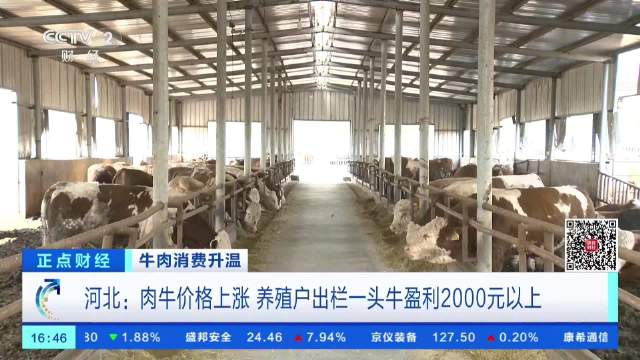 牛肉价格涨了养殖户一头牛能赚两千多元