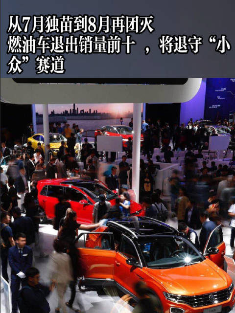 从7月独苗到8月再团灭燃油车退出销量前十 将退守 “小众”赛道