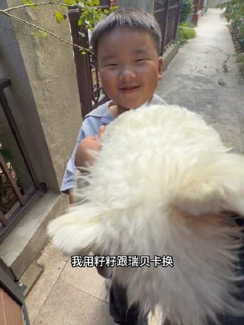 仔仔拿籽籽换来了瑞贝卡，夜半恍惚间惊觉给狗洗错了澡