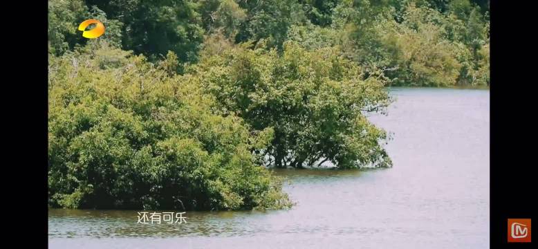 宋祖儿赖雨濛节目矛盾累积，安慰反被嘘引质疑