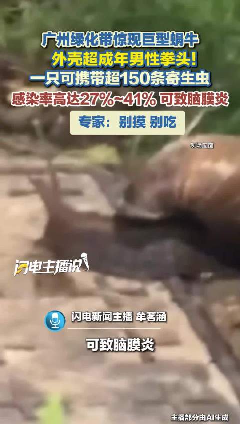广州绿化带惊现巨型蜗牛