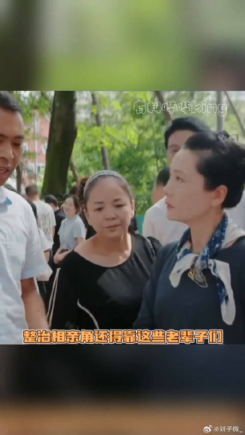 老辈子们功力还是太强了一路繁花2 叶童 微博VC计划