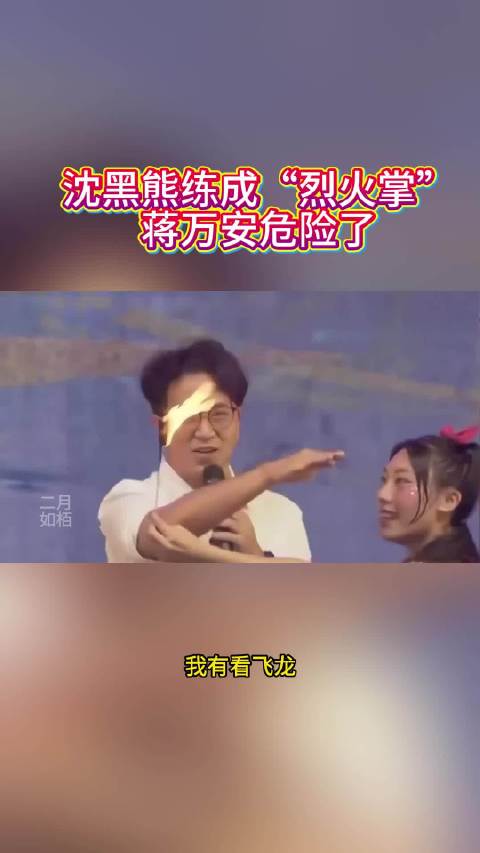 沈黑熊练成“烈火掌”，蒋万安危险了