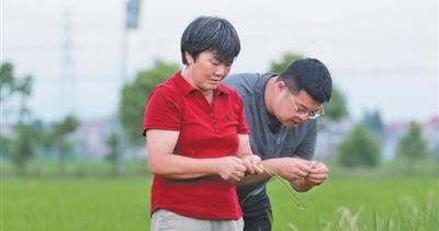 田管家迈过增产增收三道坎(秋收进行时·田间探新) 田管家迈过增产增收三道坎(秋收进行时·田间探新)