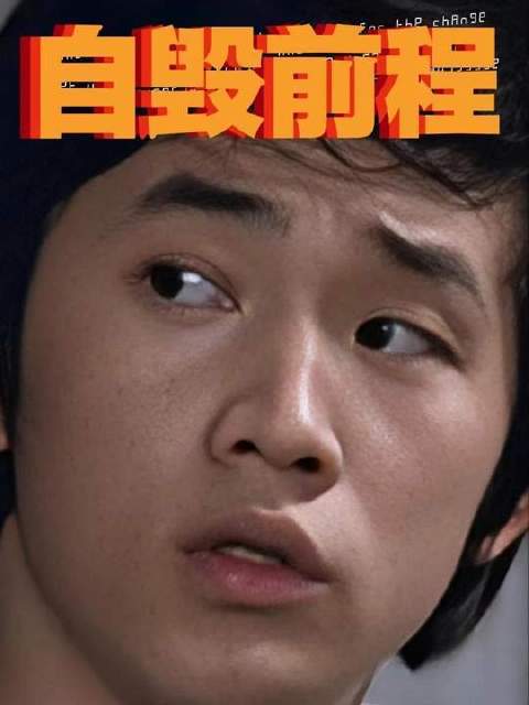 花开花落终有时，人生起伏皆寻常，珍惜当下每一刻 王晶