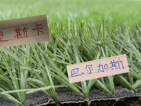 安佩姆也是好起来  在亚冠上演帽子戏法