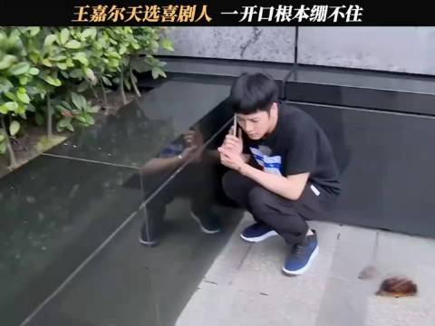 弱小无助的王嘉尔，太好笑了｜我们战斗吧