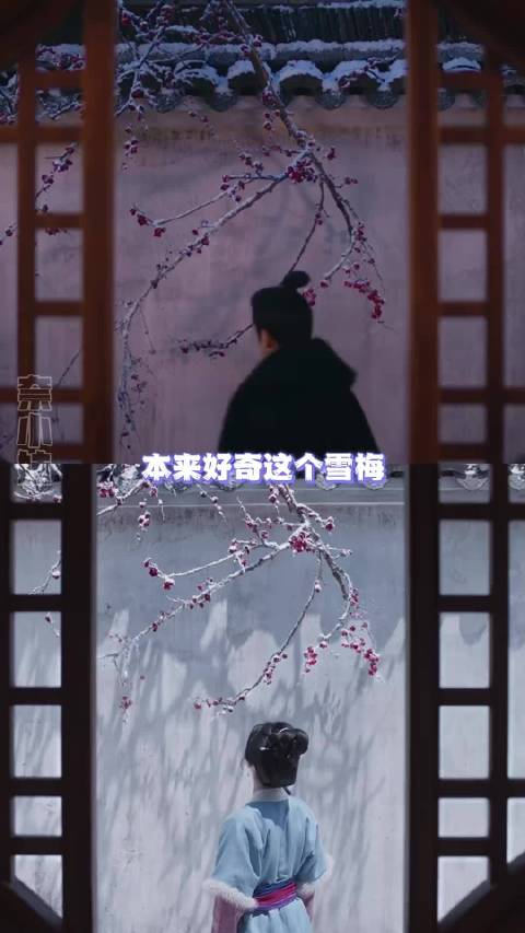 许兰香赏梅非伤春，实为思念妈妈渴望拥抱