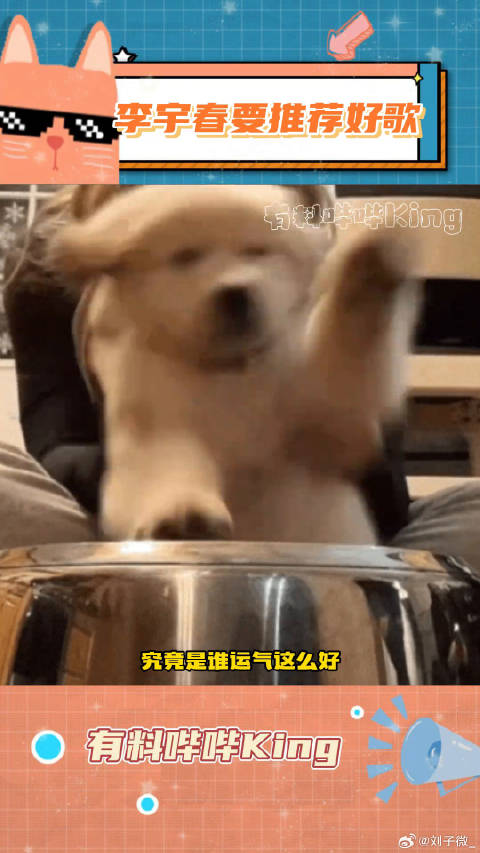 李宇春推荐的好歌那我要听！李宇春 微博VC计划