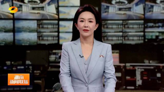 稻种搭桥连湘非 合作共赢谱新篇 毛伟明会见马达加斯加总理
