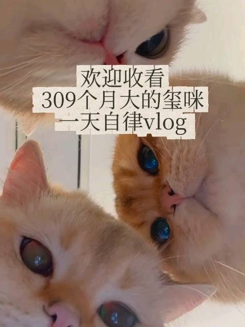 介是玺咪的日常Vlog，堂堂来袭