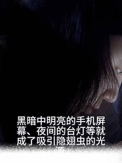 关灯玩手机招来了隐翅虫？