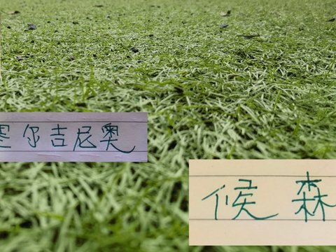 第18轮官榜！久违单轮最佳球员评选回来