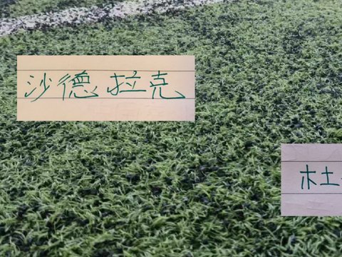 北京国安新买“跑车”沙德拉克 30分钟就坏了