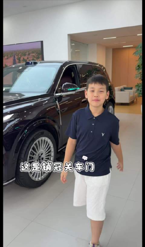 岚图泰山从开门瞬间演绎高级感