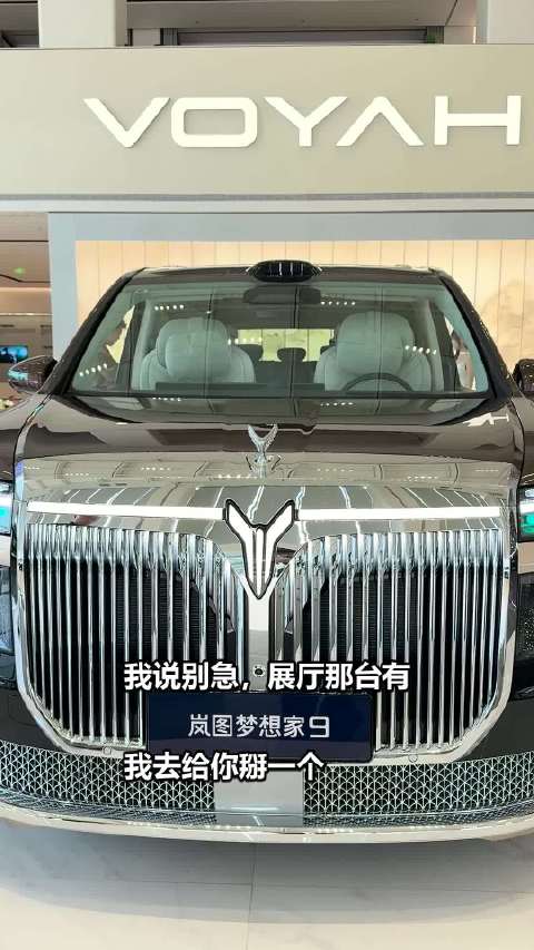 开了快两年岚图，头一回知道这标一碰就收 岚图汽车梦想家9