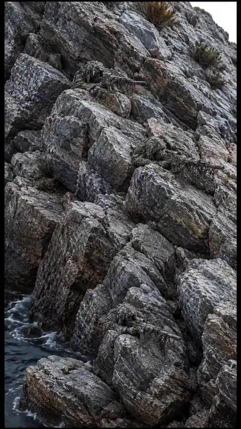 问：你们发现几个狙击手
