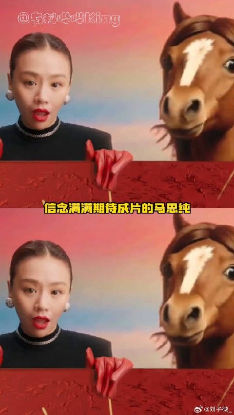 每年都会有一个属相的明星突然忙起来！马伊琍