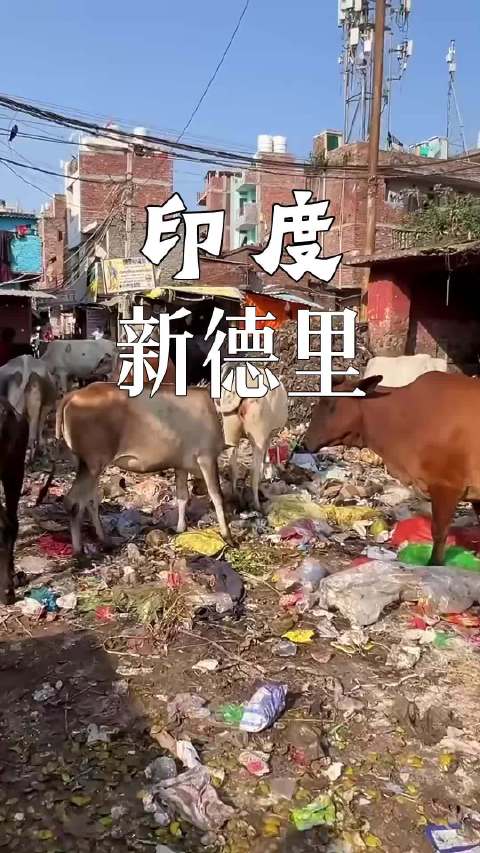 印度不管发生什么事都正常