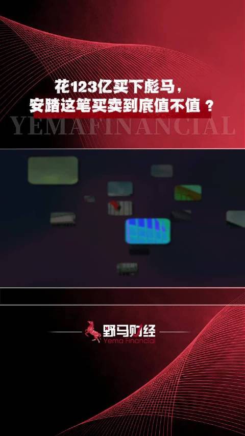 花123亿买下彪马，安踏这笔买卖到底值不值？