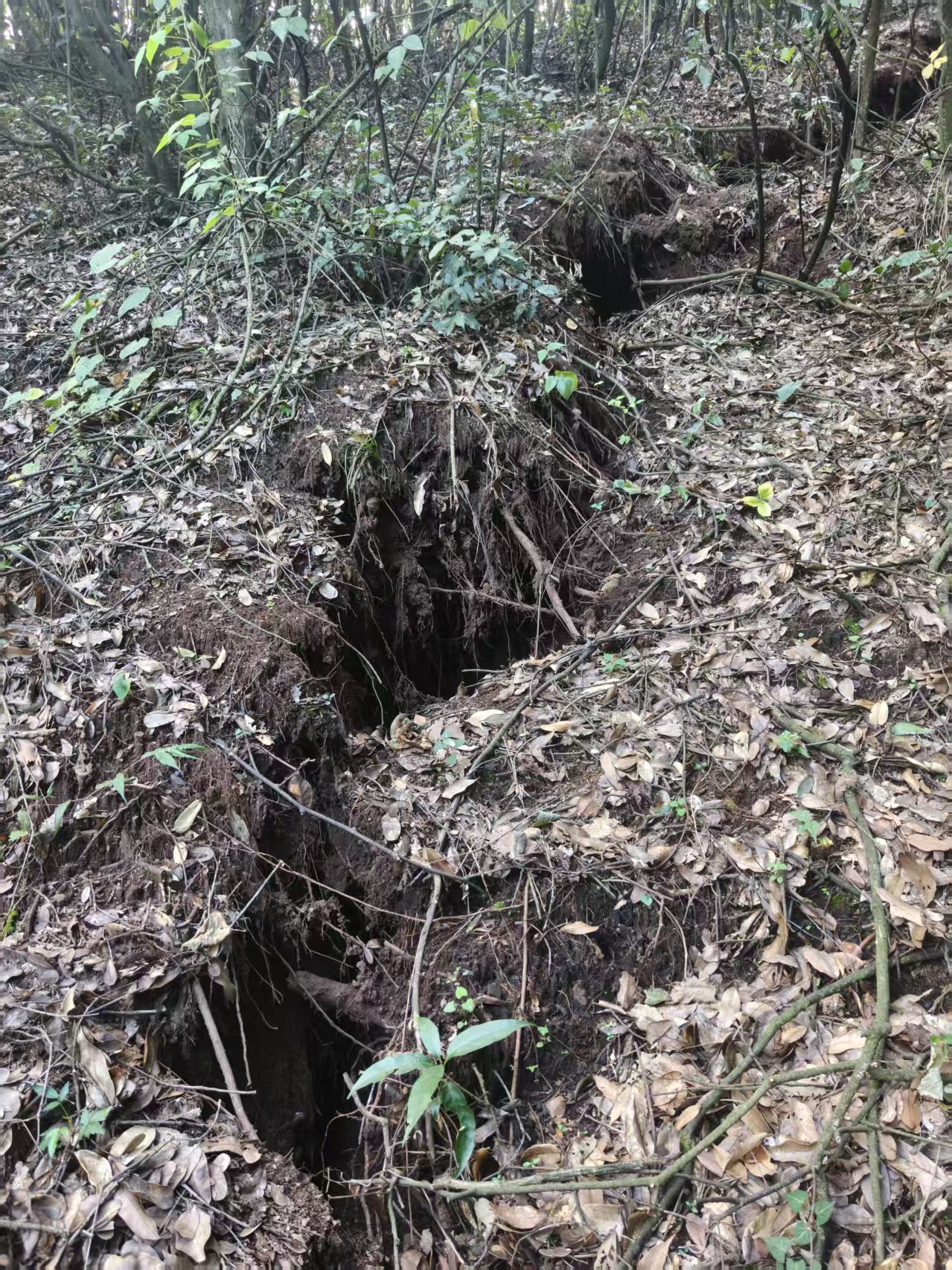 云南曲靖一村庄附近山体和道路多处开裂,当地:正调查原因 云南曲靖一村庄附近山体和道路多处开裂,当地:正调查原因