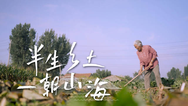 淄博黎金山村李素玲大娘的驿站成了村里最热闹的地方