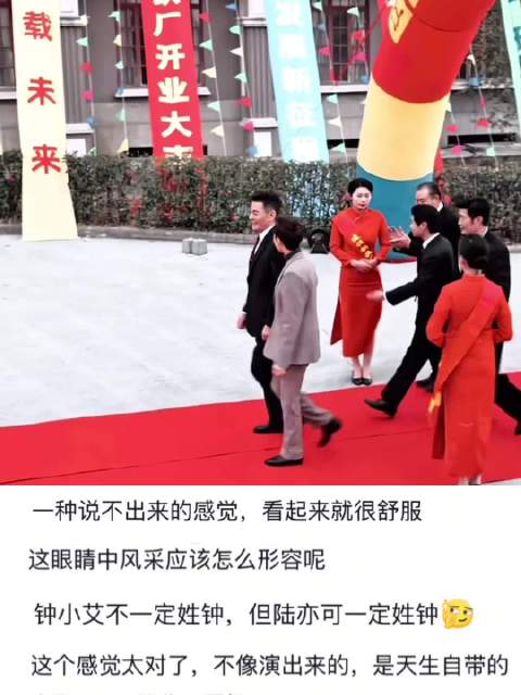 才发现人民的名义陆亦可扮演者也演过风吹半夏高跃进