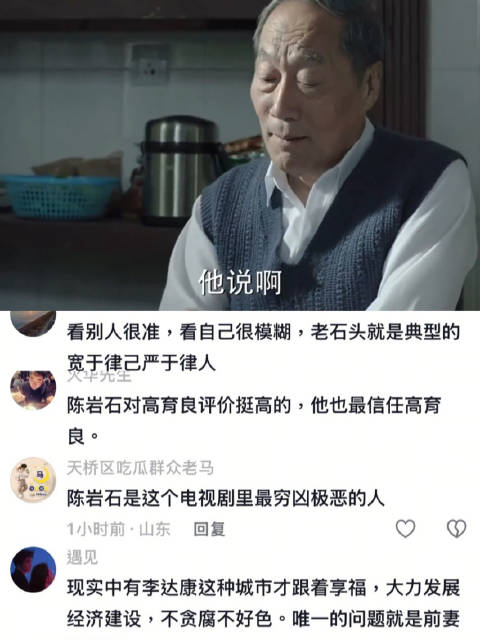 陈老的评价非常中肯 人民的名义 李达康 陈岩石 高育良