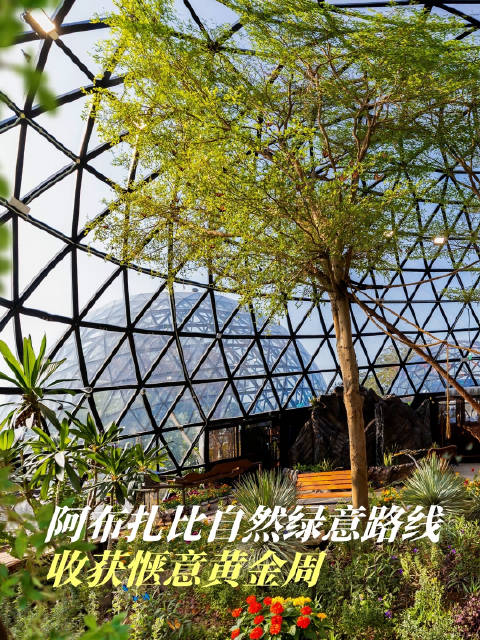 黄金周慢游阿布扎比｜解锁治愈绿意路线