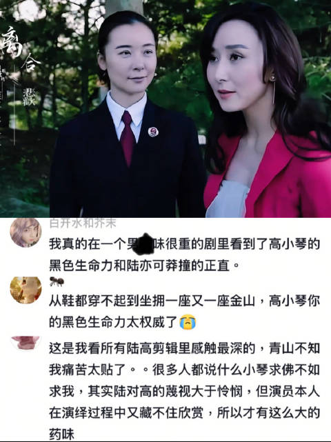 再觉悟 已是过客叹殊途 人民的名义 陆高 陆亦可 高小琴