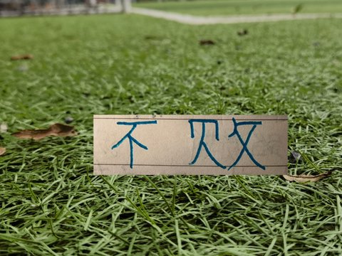 都是16场不败！是前任教练含金量高 还是蒙哥马利含金量高