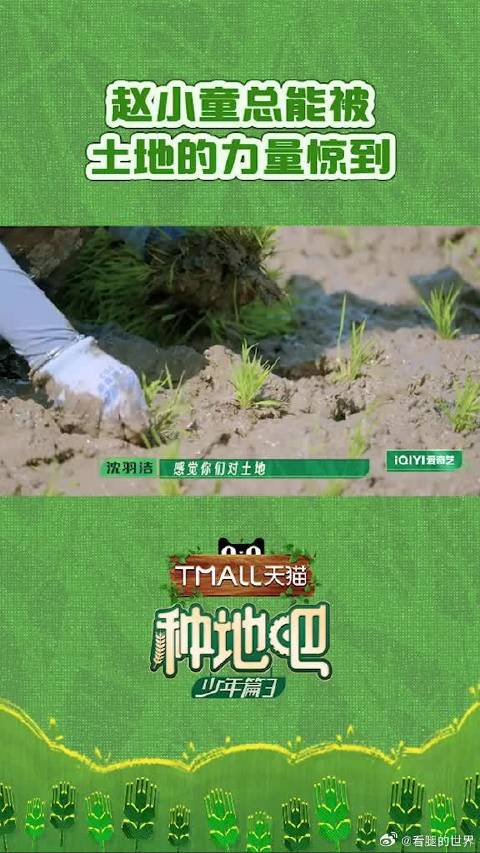 赵小童总能被土地的力量惊到