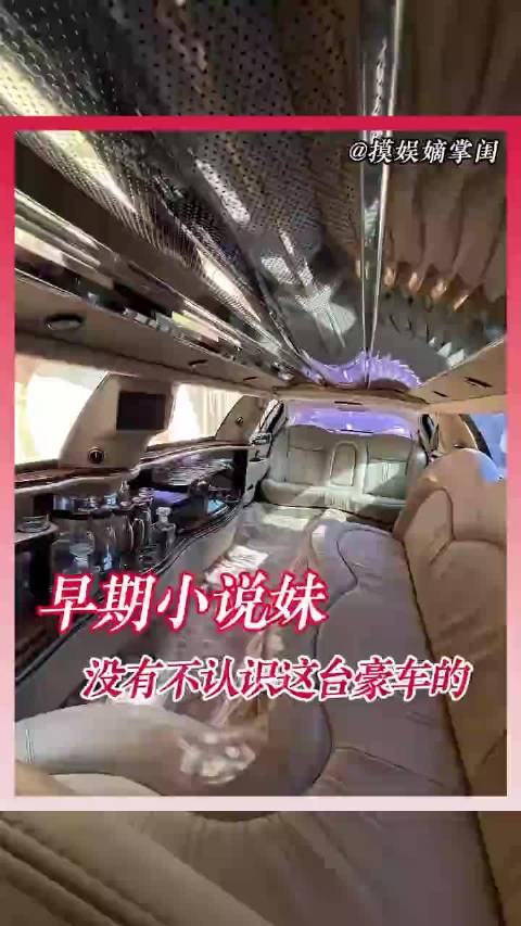 你是说这台长得像腊肠狗一样的车，就是加长林肯吗，小说妹的滤镜又碎了一地