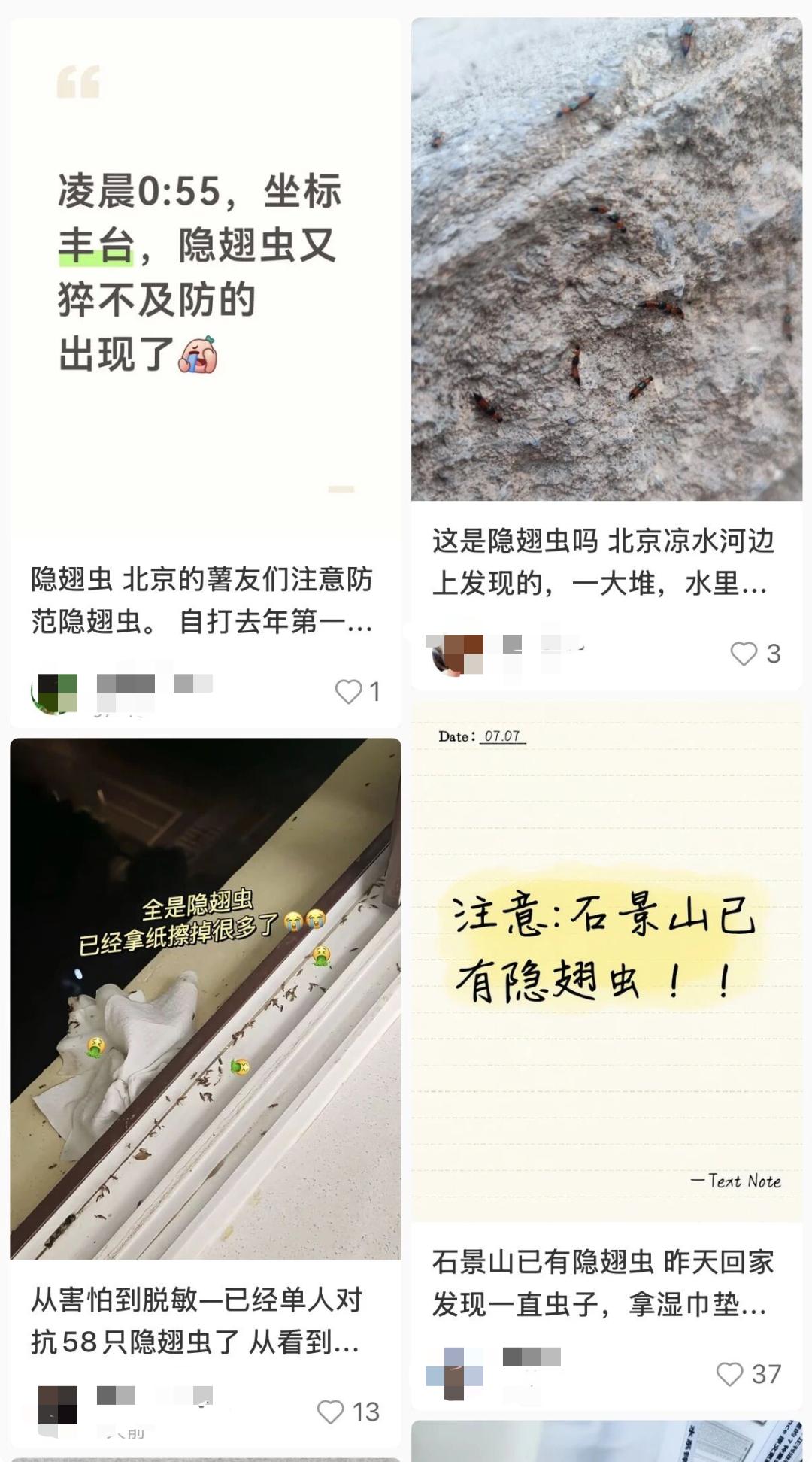 北方多地已出现,被称为“飞行的硫酸”?紧急提醒 北方多地已出现,被称为“飞行的硫酸”?紧急提醒