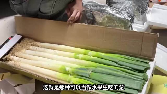 蔬菜界的姚明!山东大葱凭什么能当水果生吃?