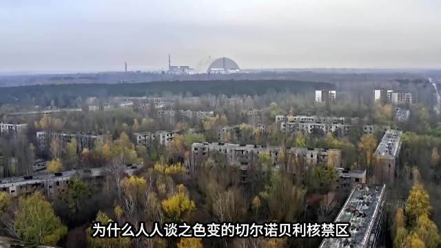 为什么切尔诺贝利明明是核灾难禁区，动物却越活越泛滥
