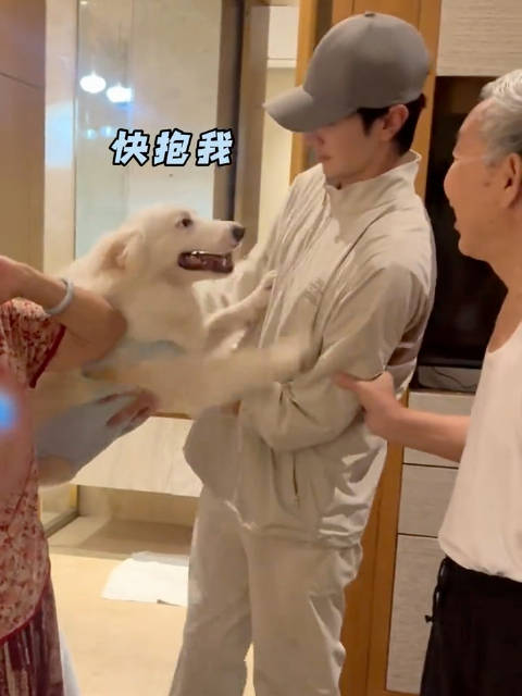 哈哈哈好有爱的一家子呦