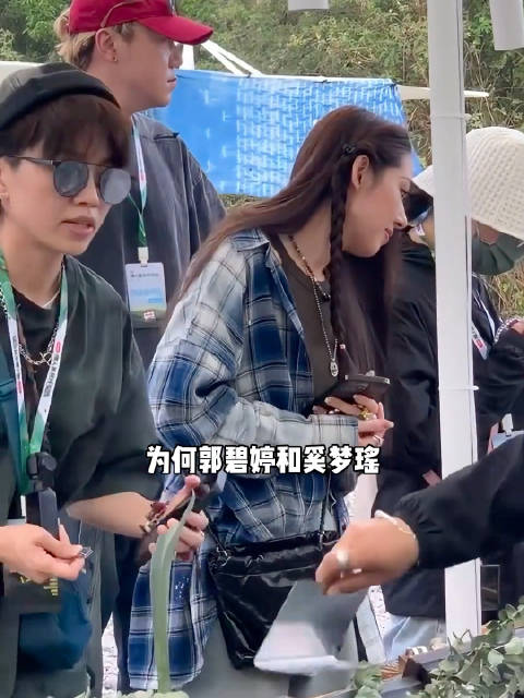 同样嫁豪门生儿育女，为何奚梦瑶越活越清醒，郭碧婷却归于家庭 郭碧婷