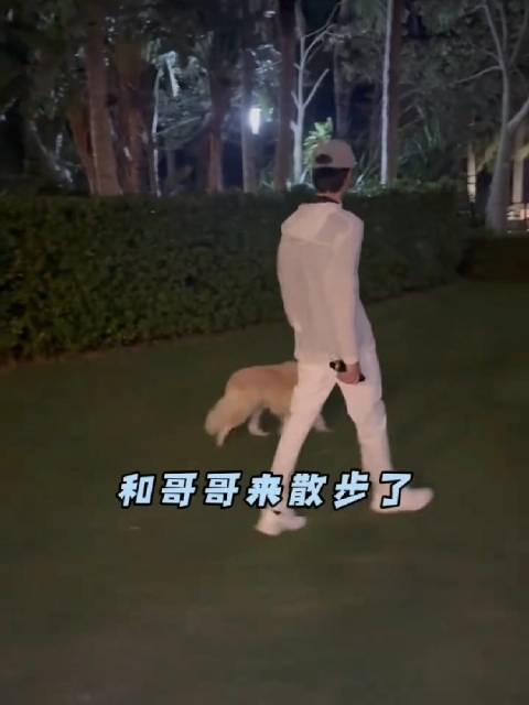 你是我文案里的主角 是我故事里的人