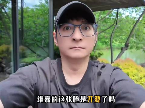 笑不活了，怎么在哪都能看到撞脸维嘉的