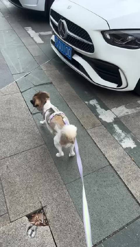 小仔仔美容啦