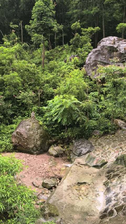 Hunan 带娃闯入现实版阿凡达世界，看奇峰云雾，把课本里的山水照进现实