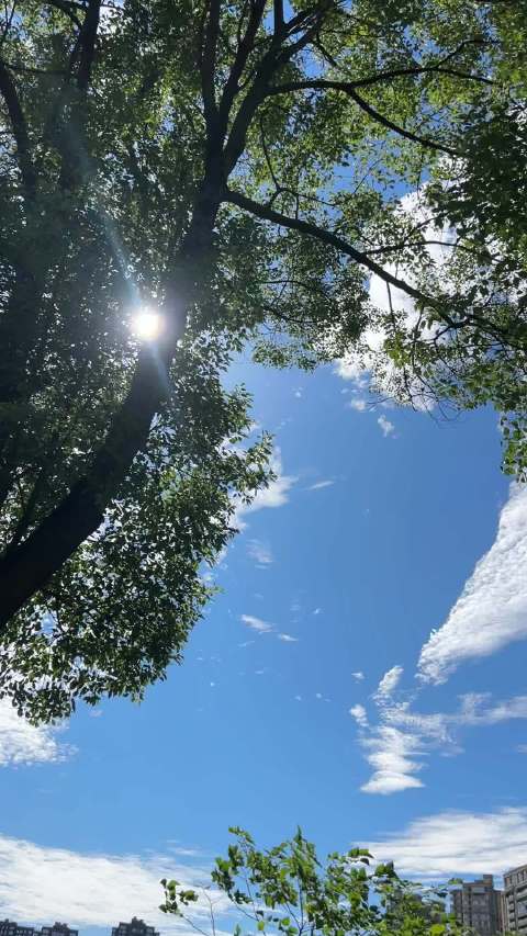 极氪是个硬骨头他不认识