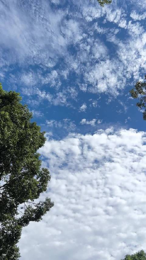 广汽传祺他认的是广汽专祺