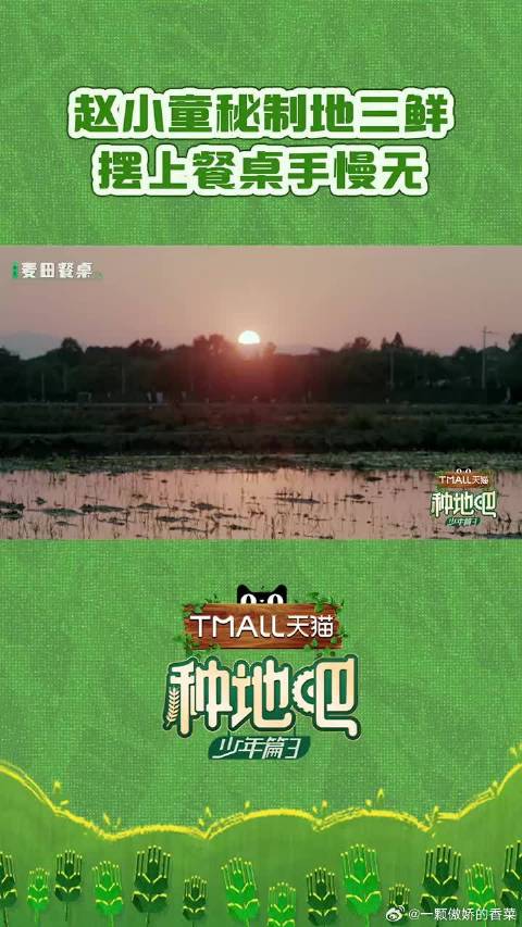 终于要露一手地三鲜厨艺了！土豆、茄子、青椒，三重美味一重也不能少