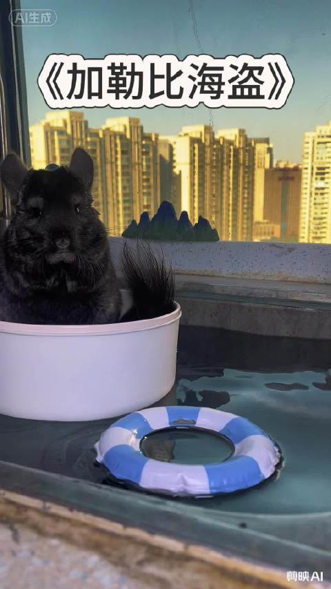 小黑又出海航海啦