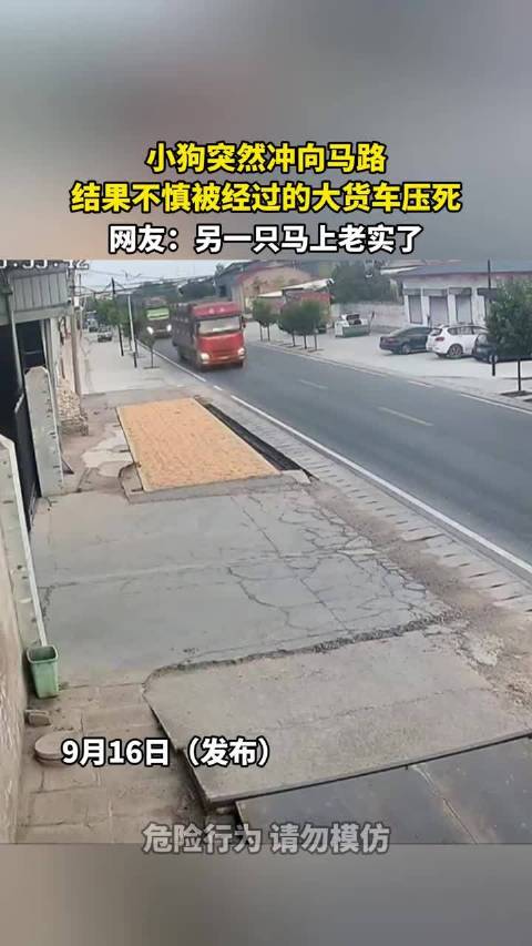 小狗突然冲向马路，结果不慎被经过的大货车压死 ！