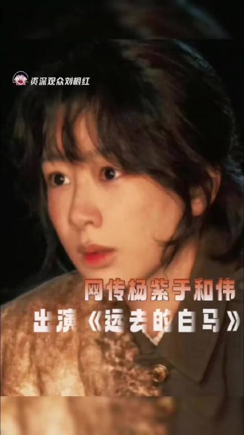 网传杨紫于和伟将演年代剧《远去的白马》，李路高满堂联手